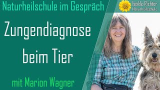 Zungendiagnose beim Tier – Naturheilschule im Gespräch [upl. by Arabella]