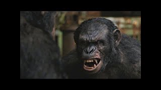 Caesar vs Koba  Dawn of the Planet of the Apes 2014LOWI [upl. by Rhonda]