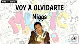 Nigga  Voy A Olvidarte Letra  Lyrics [upl. by Naasah]