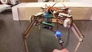 mePed Quadruped Robot  First Movement [upl. by Kcirre]