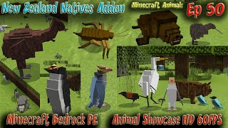 New Zealand Natives Animal Addon for Minecraft Bedrock Minecraft PE Minecraft Animals Episode 50 [upl. by Ellenehs]