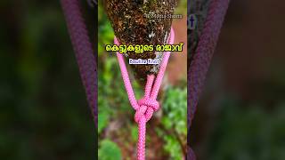 കെട്ടുകളുടെ രാജാവ്  Bowline knot ropetrick youtubeshorts shortsfeed shorts shortvideo [upl. by Yenial]