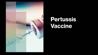 Pertussis Vaccine  Industrial Production of Vaccine  MicroBiology in Marathi [upl. by Rorke343]