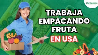 Como Os Agricultores Colhem Milhões De Toneladas De Frutas E Vegetais  Agricultura 2 [upl. by Norrej319]