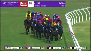 CASINO SEVENTEEN  Perth Cup 20243YO G2 Group 2 Ascot 1 January [upl. by Manoff]