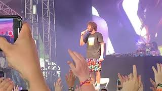 Lil Dicky  quotMollyquot at Bonnaroo 2019 [upl. by Agripina635]