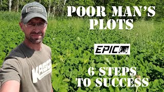 Poor Mans Food Plots  6 Simple Steps to Success [upl. by Sheeb]