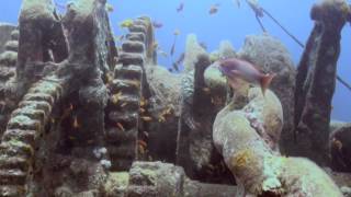 The Thistlegorm Wreck  HD 1080p by Alex Varnals  Diving Leisure [upl. by Ettelegna]