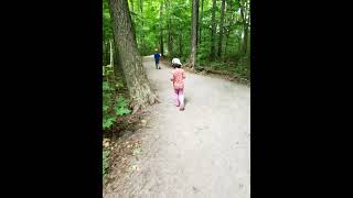 James Jacqueline Cheng Wismer park hiking walking trails woods path nature forest relax atmosphere [upl. by Doolittle843]