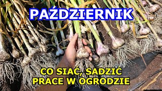 PAŹDZIERNIK co siać sadzić jakie prace wykonywać w Październiku Gleba Zimowanie Uprawa Warzyw [upl. by Airpal]