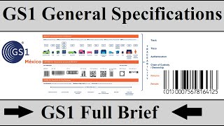 How To Get GS1 Barcodes For Ecommerce  GS1 Full Brief In Hindi  GS1 General Specifications GTINs [upl. by Greenlee]