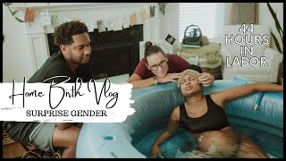 HOME BIRTH VLOG Surprise Gender  Unmedicated Birth  Labor and Delivery Vlog [upl. by Barmen]