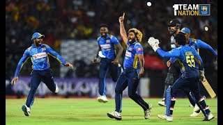 Malinga 4 Wickets in 4 Balls🥎 wicket malinga shorts viral cricket icc NZvsSRI 77mjshorts77 [upl. by Colby692]