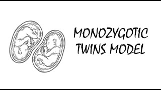 Monozygotic Twins Model [upl. by Poppas312]