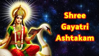 Gayatri Ashtakam  गायत्री अष्टकम्  Vedmata Gayatri Stotram  Gayatri Mantra [upl. by Leissam835]