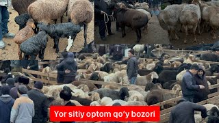 Yorqo’rg’on optom chorva bozori qo’ylari 17 01 2024 [upl. by Wistrup]