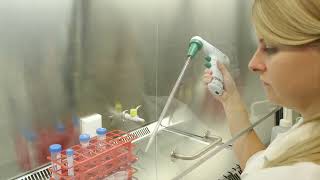 HAN Bachelor Courses  Life Sciences  Cell culture with adherent cells [upl. by Anitsud]