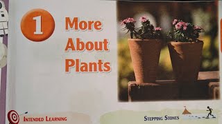 Ch1 More about Plants Class5 Universal Science St Joseph covent School CBSE [upl. by Bree]