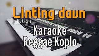 Linting daun  Karaoke lirik  REGGAE KOPLO Nada pria [upl. by Grimaldi]