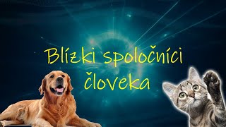 Biológia 6 ročník  Blízki spoločníci človeka  pes a mačka [upl. by Repip]