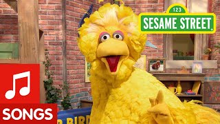 Sesame Street Big Bird Sings Happy to Be Me Song [upl. by Yeldnarb]