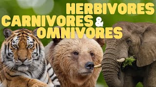 Herbivores Carnivores and Omnivores for Kids  Learn which animals eat plants meat or both [upl. by Quenby66]