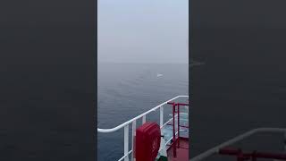 Attack on merchant navy ship shipping ship  merchant navy ship video merchantvessel [upl. by Yorker]