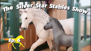 The Silver Star Stables Show  Episode 6 Schleich Horse RolePlay Series [upl. by Constance]