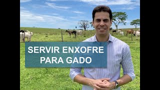 COMO SERVIR ENXOFRE PARA O GADO [upl. by Meaghan]