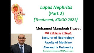 Lupus Nephritis treatment KDIGO 2021 [upl. by Sanborn]