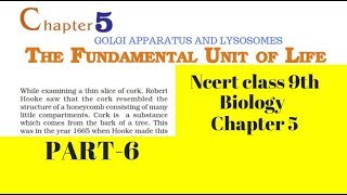 Part 6 The Fundamental unit of Life Class 9 Science Chapter 5 Biology CBSE NCERT [upl. by Cal698]