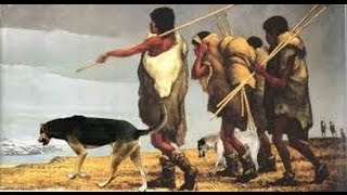 El Perro  Historia de Domesticacion [upl. by Ettezyl]