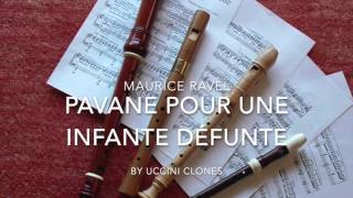 Maurice Ravel Pavane pour une infante défunte [upl. by Eislel447]