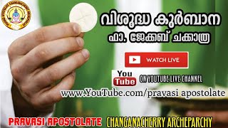 Holy Mass St Marys Church Parel Changanacherry Organized By Pravasi Apostolate [upl. by Kciredor]