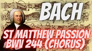 Unveiling the Majestic Chorus of Bachs St Matthew Passion BWV 244 [upl. by Aillicec]