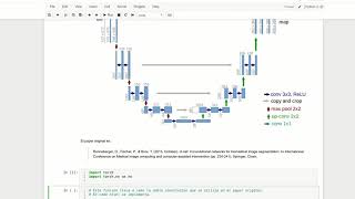 Implementación de un autoencoder UNET en Pytorch [upl. by Harned950]