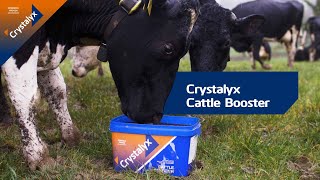 Crystalyx Cattle Booster Improve forage intake amp feed conversion efficiency for optimal performance [upl. by Ecnarolf]