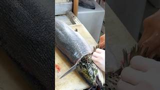 Fresh Big Salmon Cutting food seafood salmon thailand [upl. by Nosnorb159]