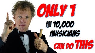 Only 1 in 10000 musicians can do this  The Rainer Hersch Orkestra [upl. by Madlin]