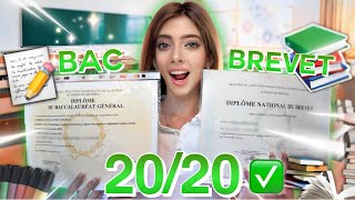 COMMENT AVOIR 2020 AU BAC amp BREVET  100 réussite  📝✅ [upl. by Sehcaep]