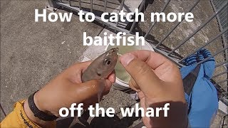 NZ Basic Fishing  Tutorial  How to catch baitfish off the Wharf [upl. by Rodrique]