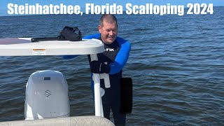 Steinhatchee Florida Scalloping 2024 [upl. by Iv]