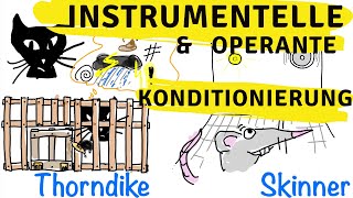 Instrumentelle amp operante Konditionierung  Skinner Thorndike und der Behaviorismus [upl. by Cade]