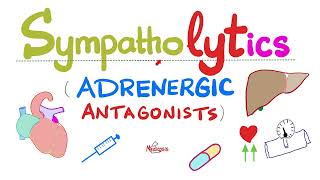 Sympatholytics Adrenergic Antagonists — Alpha blockers Beta blockers Calcium channel blockers [upl. by Stolzer429]