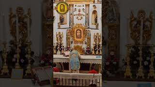 The Holy Sacrifice of the Mass celebrated in the Palmarian Catholic Church Germany [upl. by Retrac17]