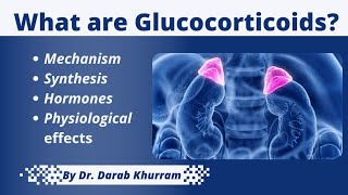 Adrenal Steroids  Glucocorticoids  Pharmacology [upl. by Akemehs628]