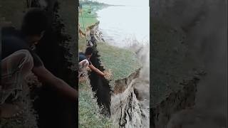 Karnali river cutting floodriver cute karnalishorts [upl. by Nahtanaoj]