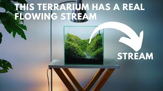 making a mossy hills terrarium with a real flowing stream [upl. by Nivk184]