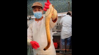 Geoduck Clam shorts short shortvideo [upl. by Anotal519]