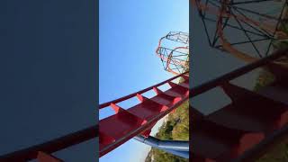 SheiKra  Busch Gardens Tampa Bay  Front Seat POV [upl. by Locin]